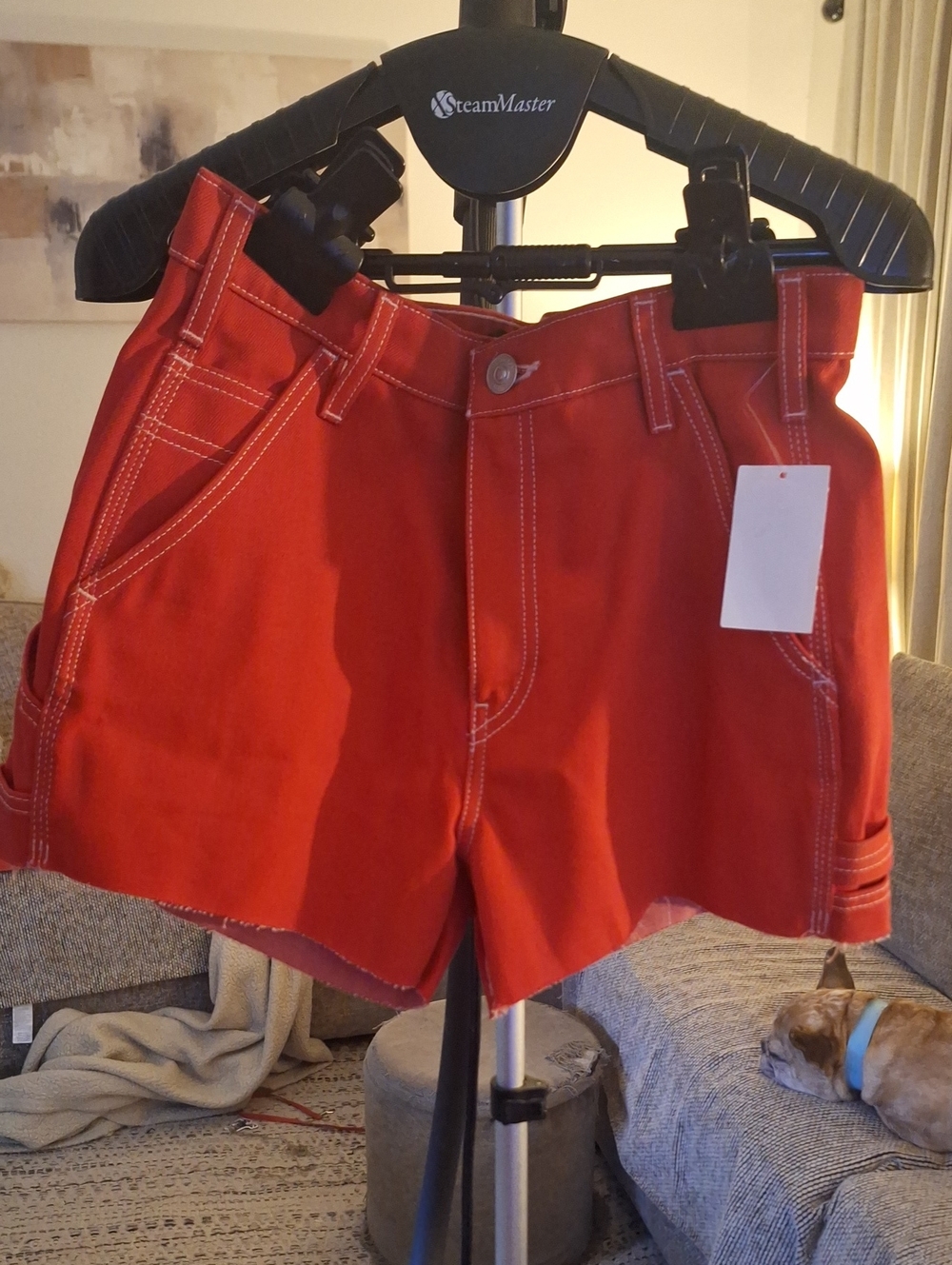 Hudson Carpenter Red Cargo Shorts with Contrast Stitching
